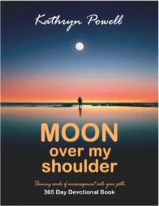 AFH - Angels Fly Here - Moon Over My Shoulder - Book Front Cover