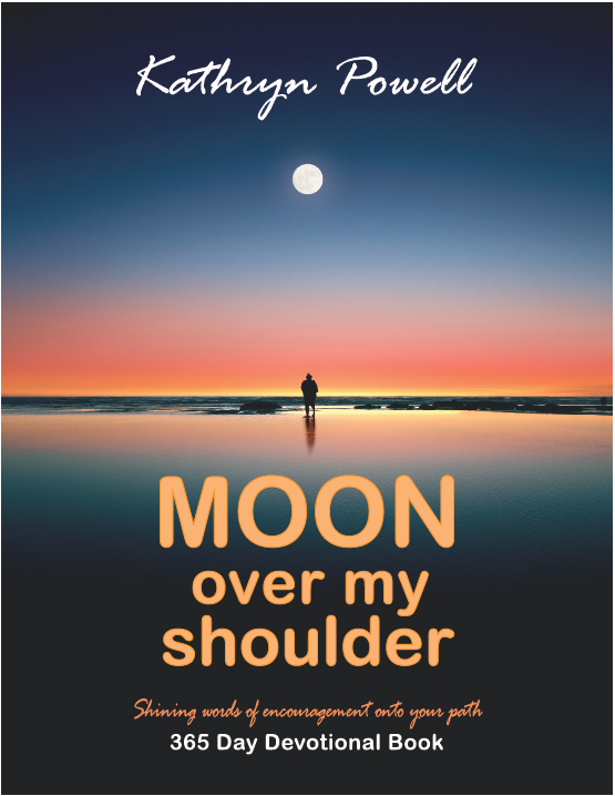 AFH - Angels Fly Here - Moon Over My Shoulder - Book Front Cover
