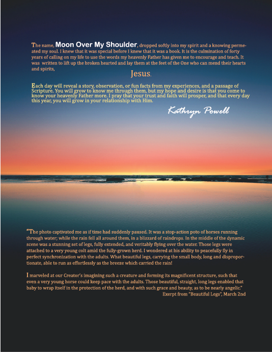 AFH - Angels Fly Here - Moon Over My Shoulder - Book Back Cover