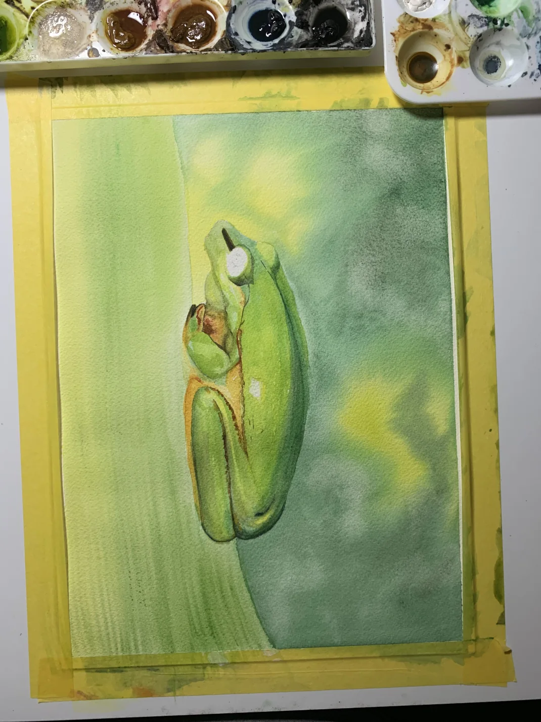 Spirit of Life Tree Frog Mug - A Wondrous and Beautiful Perspective -IMG_4573