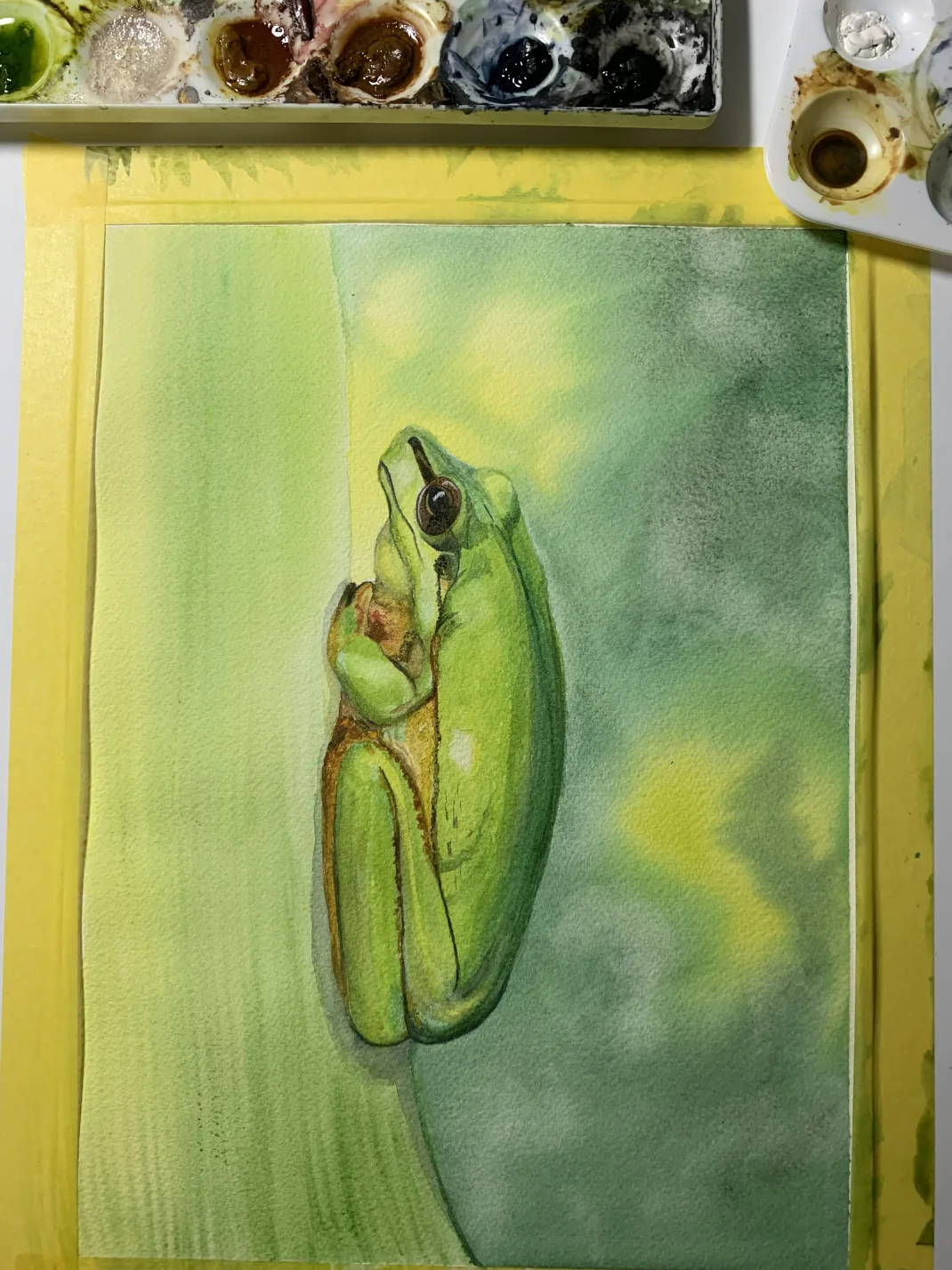 Spirit of Life Tree Frog Mug - A Wondrous and Beautiful Perspective -IMG_4575