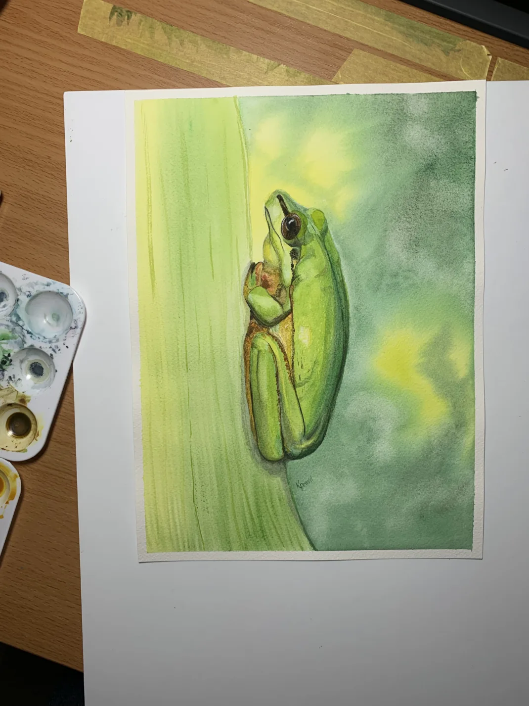 Spirit of Life Tree Frog Mug - A Wondrous and Beautiful Perspective -IMG_4577