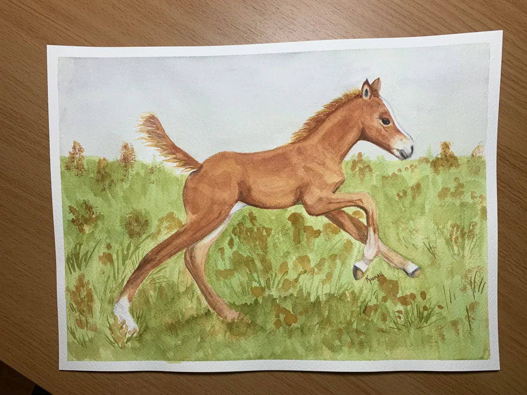 The Beautiful Colt A Uniquely Stunning Running Horse