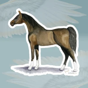 3x3 Arabian White Sticker Beautiful Hand Painted Prize Horse Framed By Angels Fly Here
