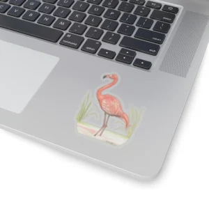 3x3 Transparent Flamingo Sticker Reflections and Beautiful Wonders of the Lord