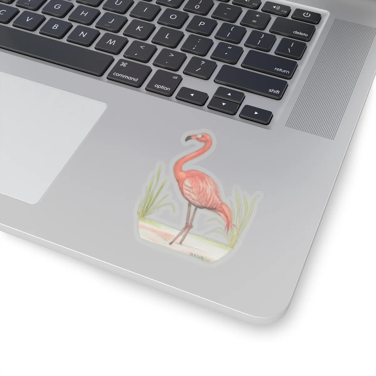 3x3 Transparent Flamingo Sticker Reflections and Beautiful Wonders of the Lord