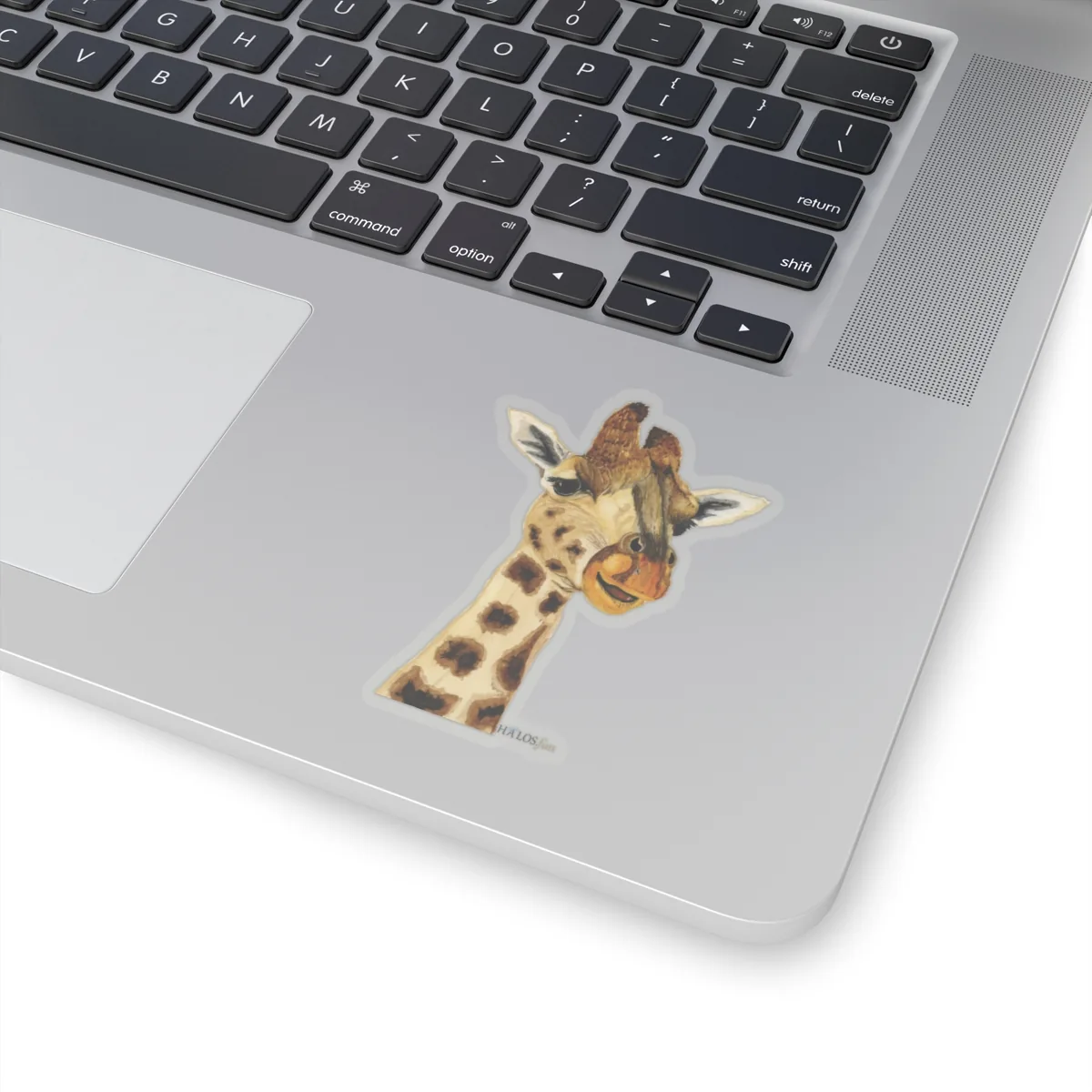 3x3 Transparent Halos Giraffe Sticker The Beautiful Higher Side of Faith