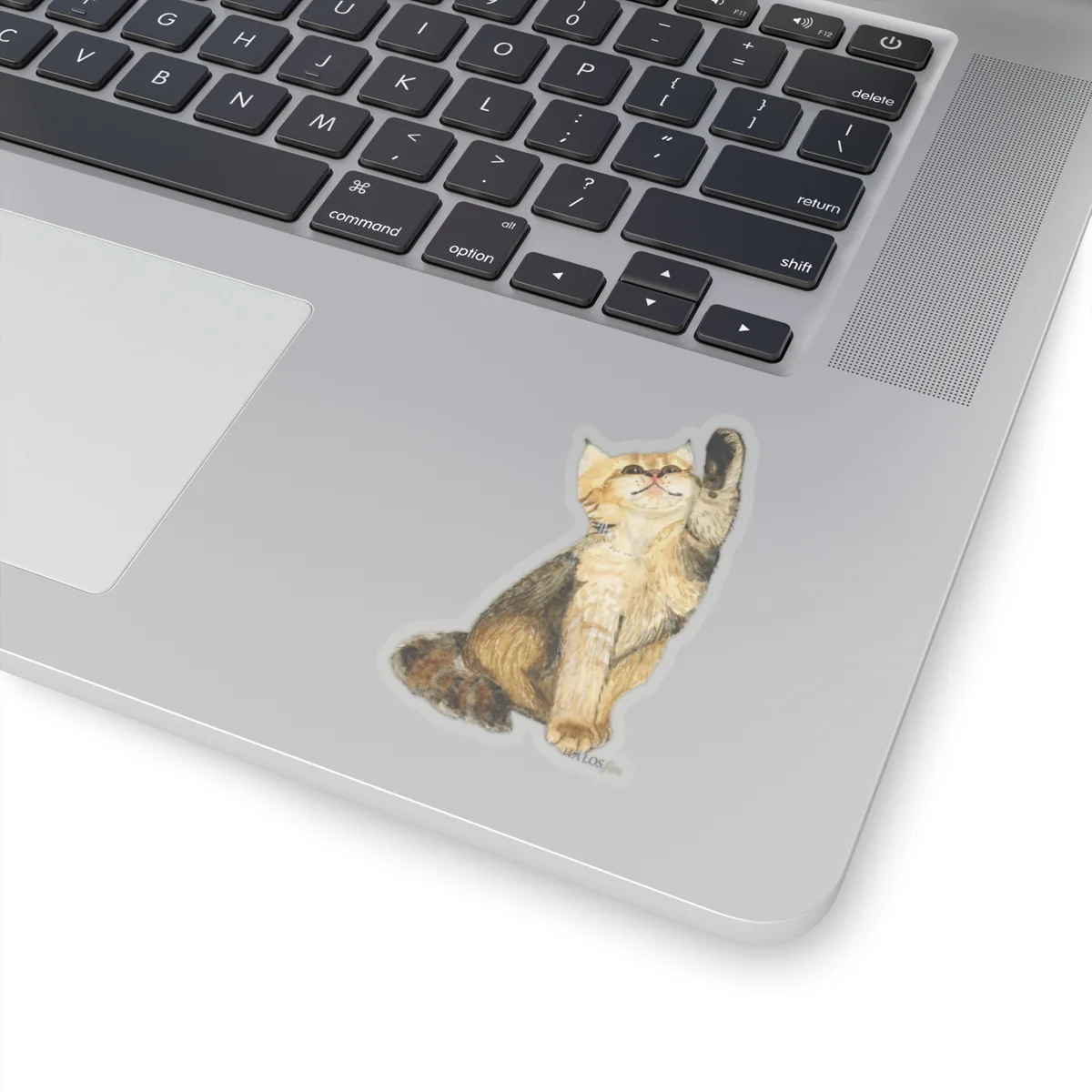 3x3 Transparent Kitten Paws Sticker Irresistibly Beautiful and Fun