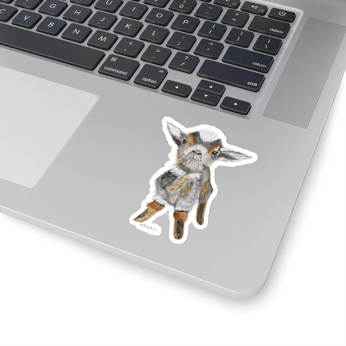 3x3 White Baby Goat Sticker Irresistibly Cute - Easily Makes You Smile