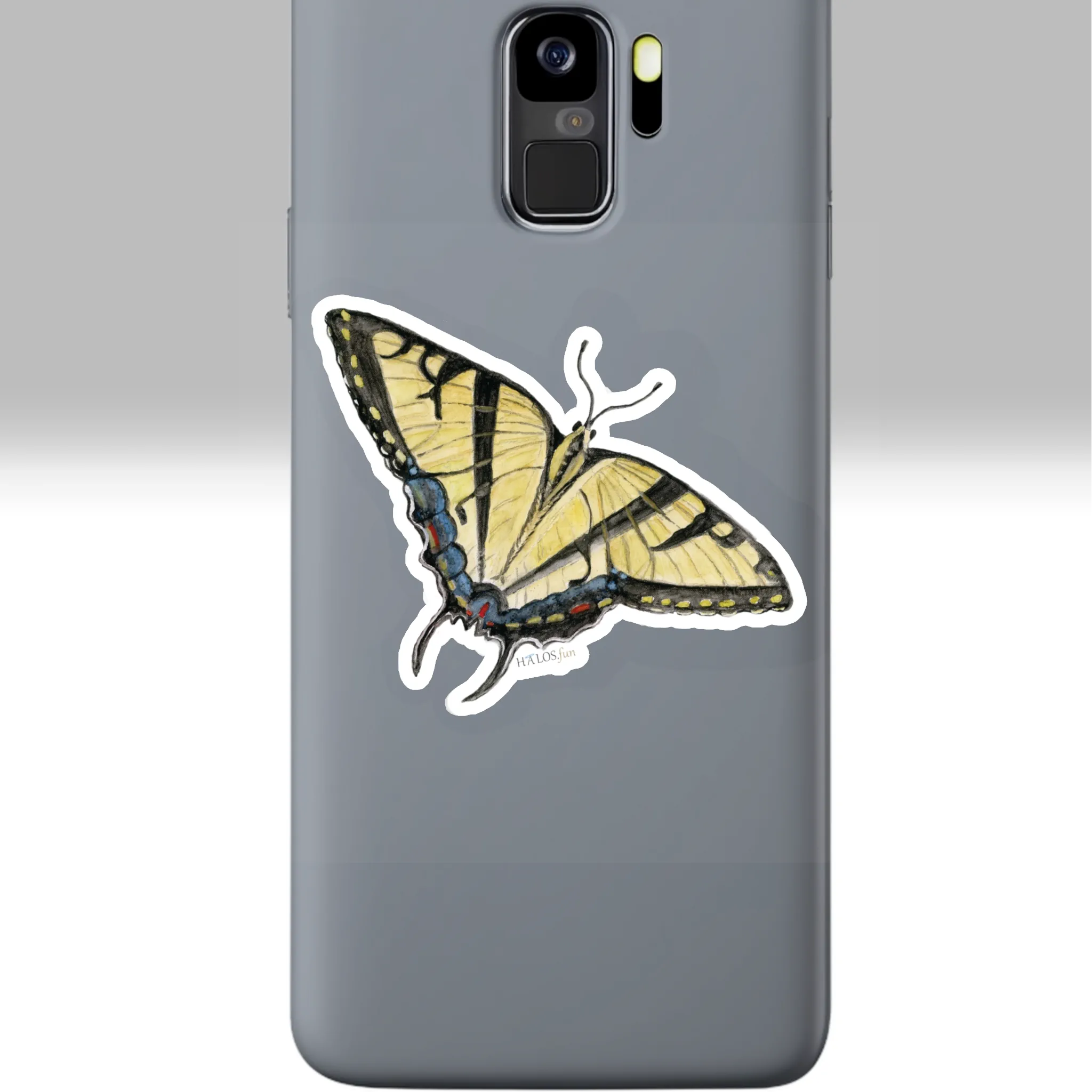 3x3 White Butterfly Sticker Remarkably Beautiful Tiger Swallowtail On A Cell Phone