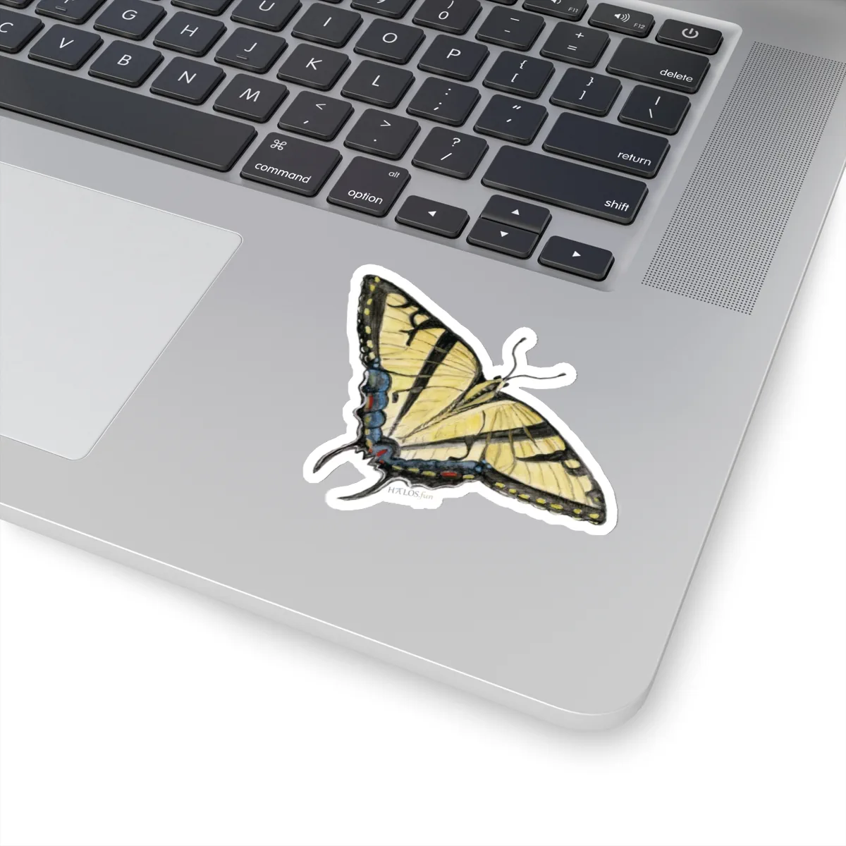 3x3 White Butterfly Sticker Remarkably Beautiful Tiger Swallowtail