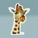 3x3 White Halos Giraffe Sticker The Beautiful Higher Side of Faith Product Image