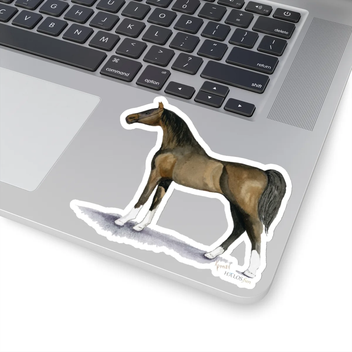 4x4 Arabian Sticker Beautiful Hand Painted Prize Horse White Background