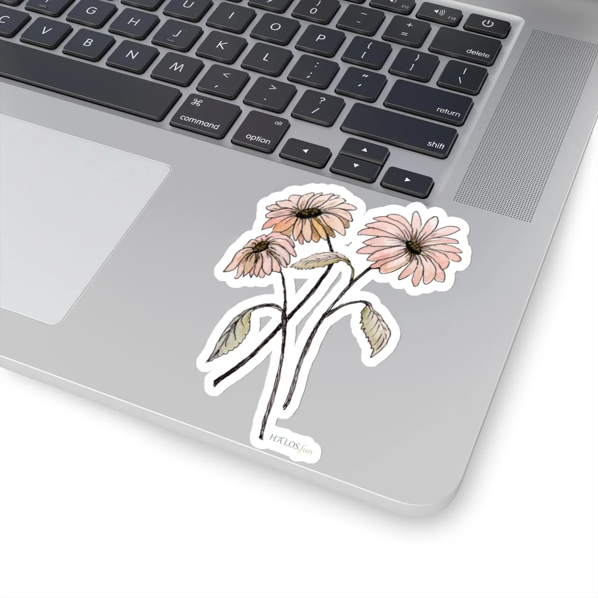 4x4 White Daises Sticker Eye-Opening, Beautiful Line and Wash Art