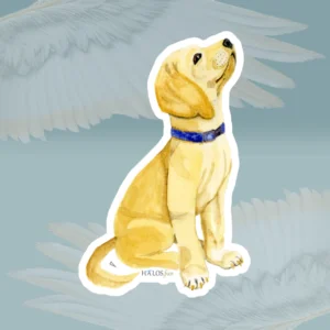 4x4 White Halos Puppy Sticker Irresistibly Cute - Complete Love Framed By Angels Fly Here