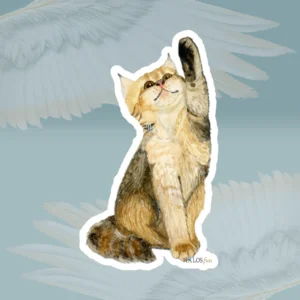 4x4 White Kitten Paws Sticker Irresistibly Beautiful and Fun Framed By Angels Fly Here