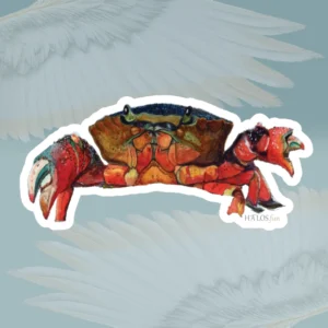 6x6 White Crabby Sticker Beautiful, Epic - Ocean Watercolor Art Framed By Angels Fly Here