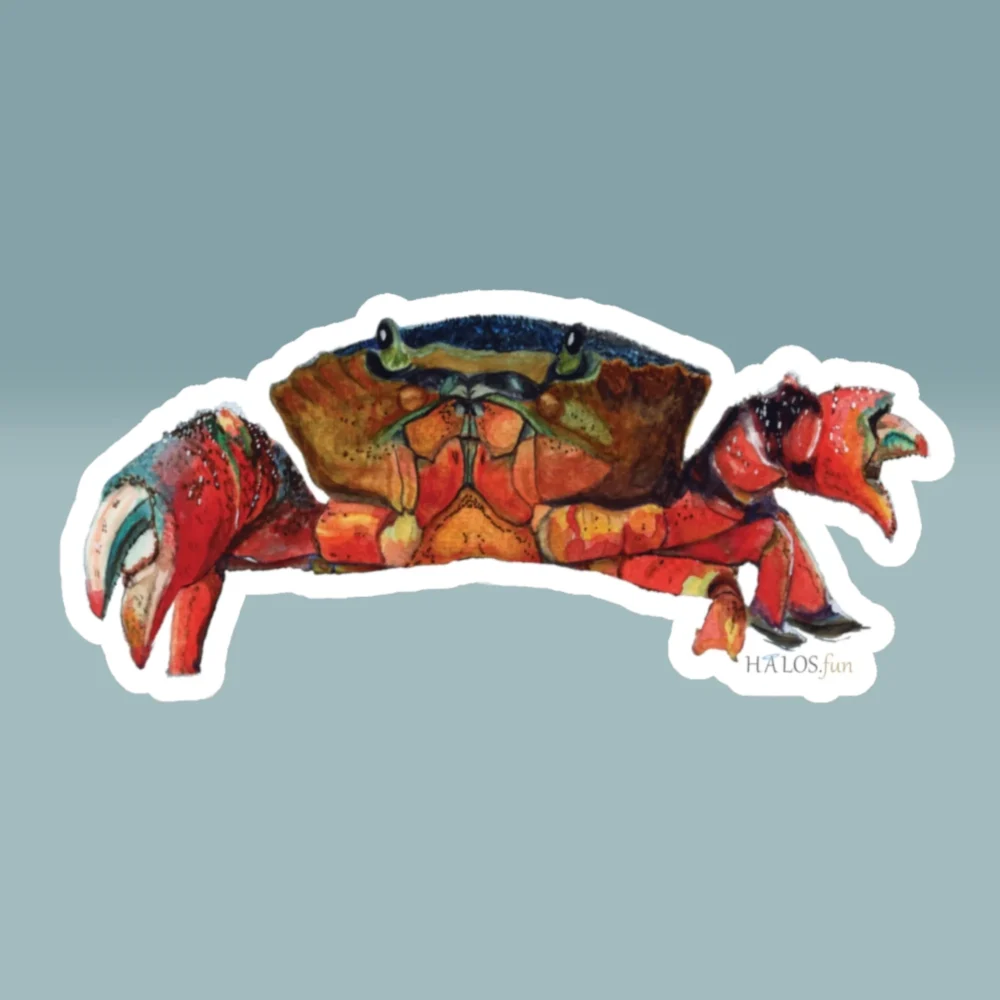 6x6 White Crabby Sticker Beautiful, Epic - Ocean Watercolor Art Product Image
