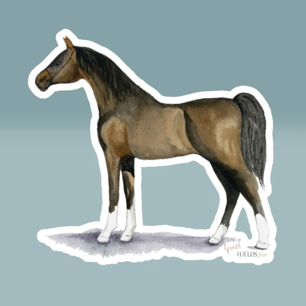 Arabian Sticker Beautiful Hand Painted Prize Horse Product