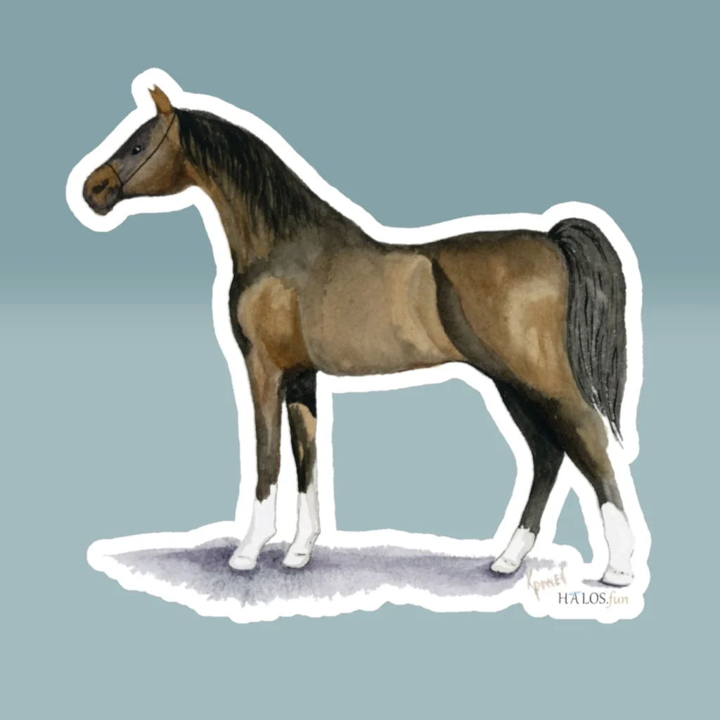 Arabian Sticker Beautiful Hand Painted Prize Horse Product