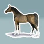 Arabian Sticker Beautiful Hand Painted Prize Horse Product