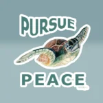 Sea Turtle Sticker New Hypnotic Peace in Motion Product