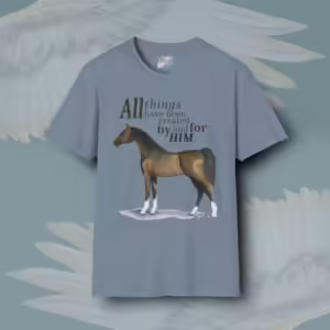 Beautiful Horse Tee Eye-Opening Scripture Art Hand Painted Arabian Stone Blue colored Haloed Tee Framed By Angels Fly Here