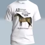 Beautiful Horse Tee Eye-Opening Scripture Art Hand Painted Arabian White colored Haloed Tee