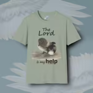 Birds of Faith Tee Now The Lord is My Help Sage Colored Haloed Tee Framed By Angels Fly Here