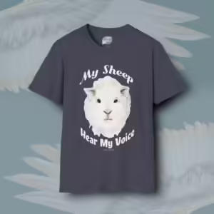 Devoted Sheep Tee The Beautiful Divine Calling Heather Navy Colored Haloed Tee Framed By Angels Fly Here