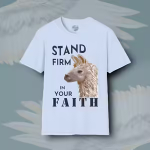 Firm Faith Lama Tee Beautiful and Inspiring Apparel in Light Blue with the Framed By Angels Fly Here