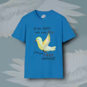 Freedom's Flutter Tee Little Hummingbird of Amazing Truth Sapphire Colored Haloed Tee Framed By Angels Fly Here