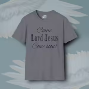 Heavenly Return Tee Devoted Prayer For Jesus Return Now Graphite Heather Colored Haloed Tee framed by Angels Fly Here