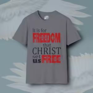 Set Free Tee Reclaim New Freedom through Christ Graphite Heather Colored Haloed Tee Framed By Angels FLy Here