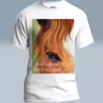 Stallion's Soul Tee The Creator's Stunning New Reflection White Colored Haloed Tee