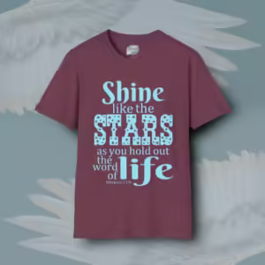 Starry Shine Tee Treasure the Wonderful Word of Life Heather Maroon Colored Haloed Tee Framed By Angels Fly Here
