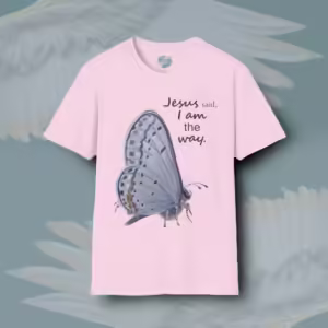 Way of the Skipper Tee Colorful Detailed Beauty in Faith Light Pink Color Haloed Tee Framed By Angels Fly Here