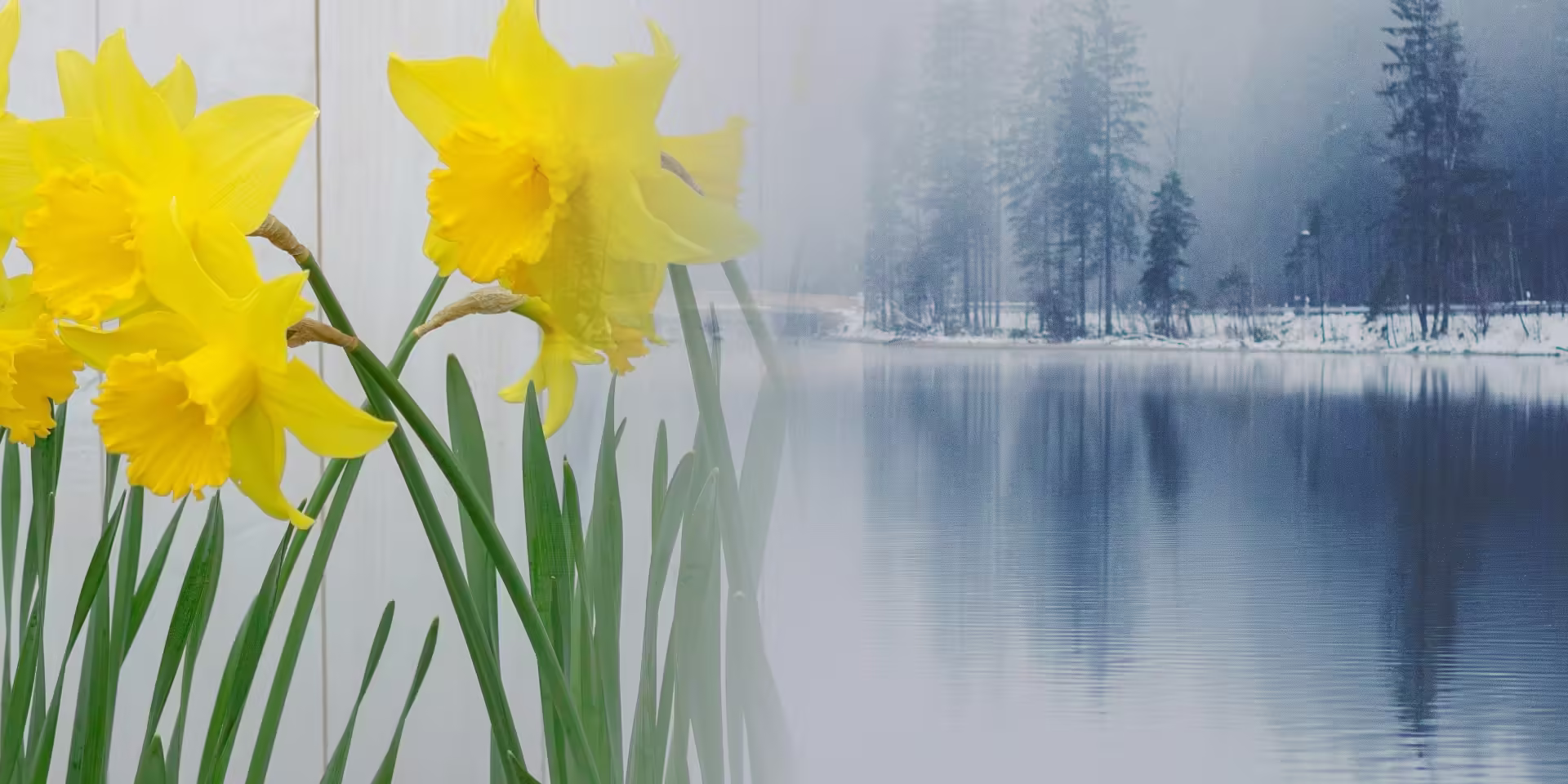 A Time For Every Season Spring and Winter