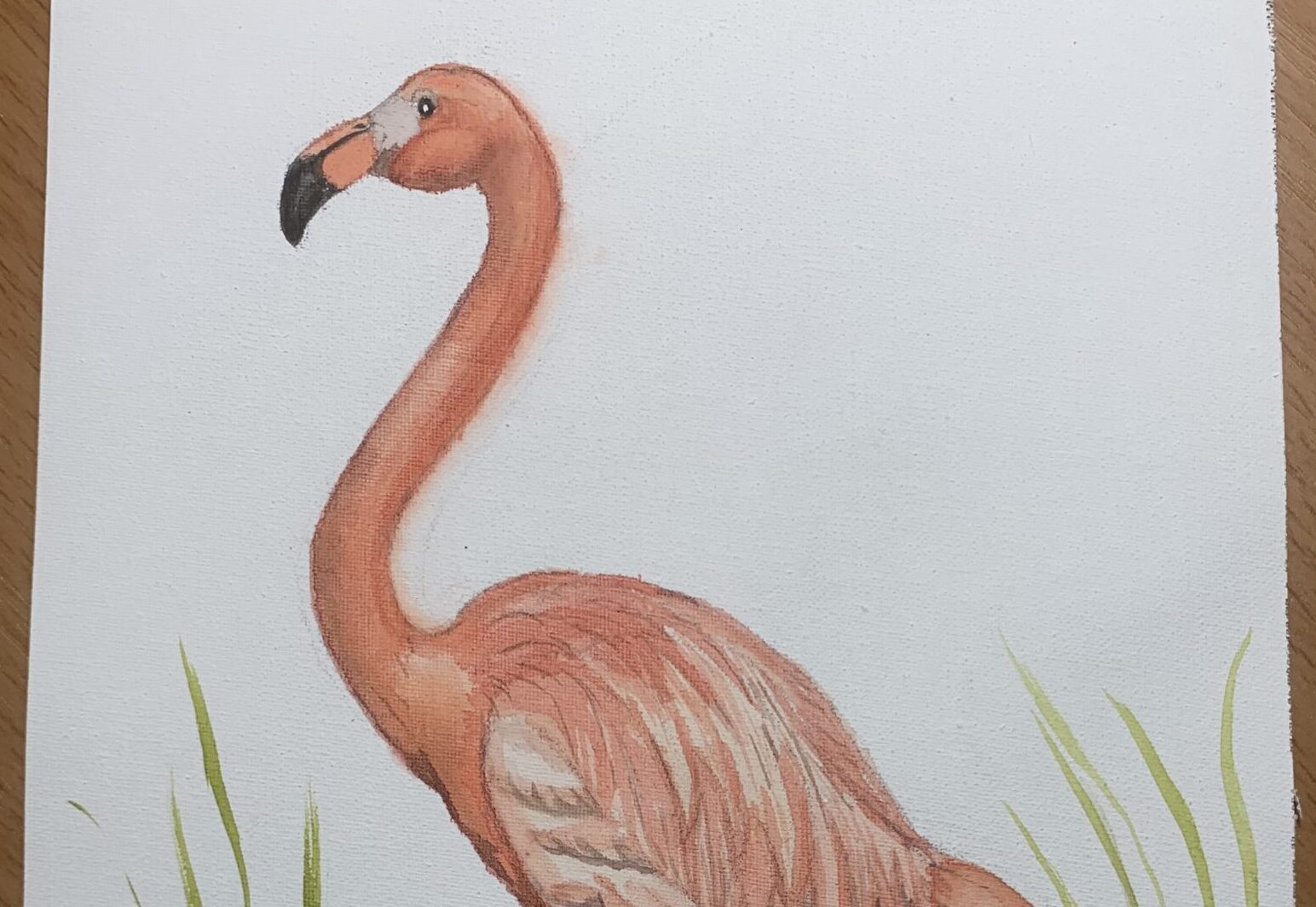 Flamingo Watercolor Painting by Kay Powell