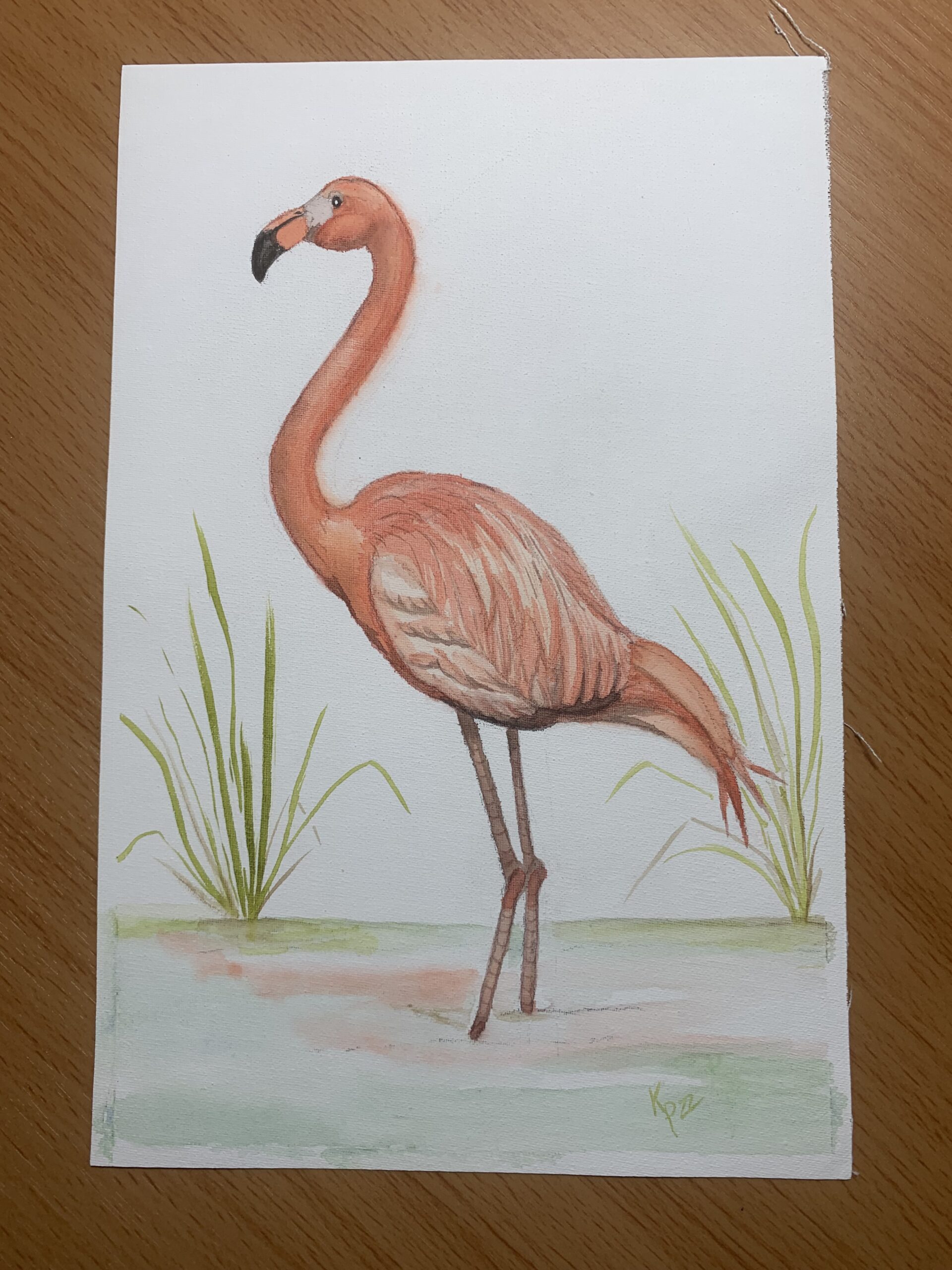 Flamingo Watercolor Painting by Kay Powell
