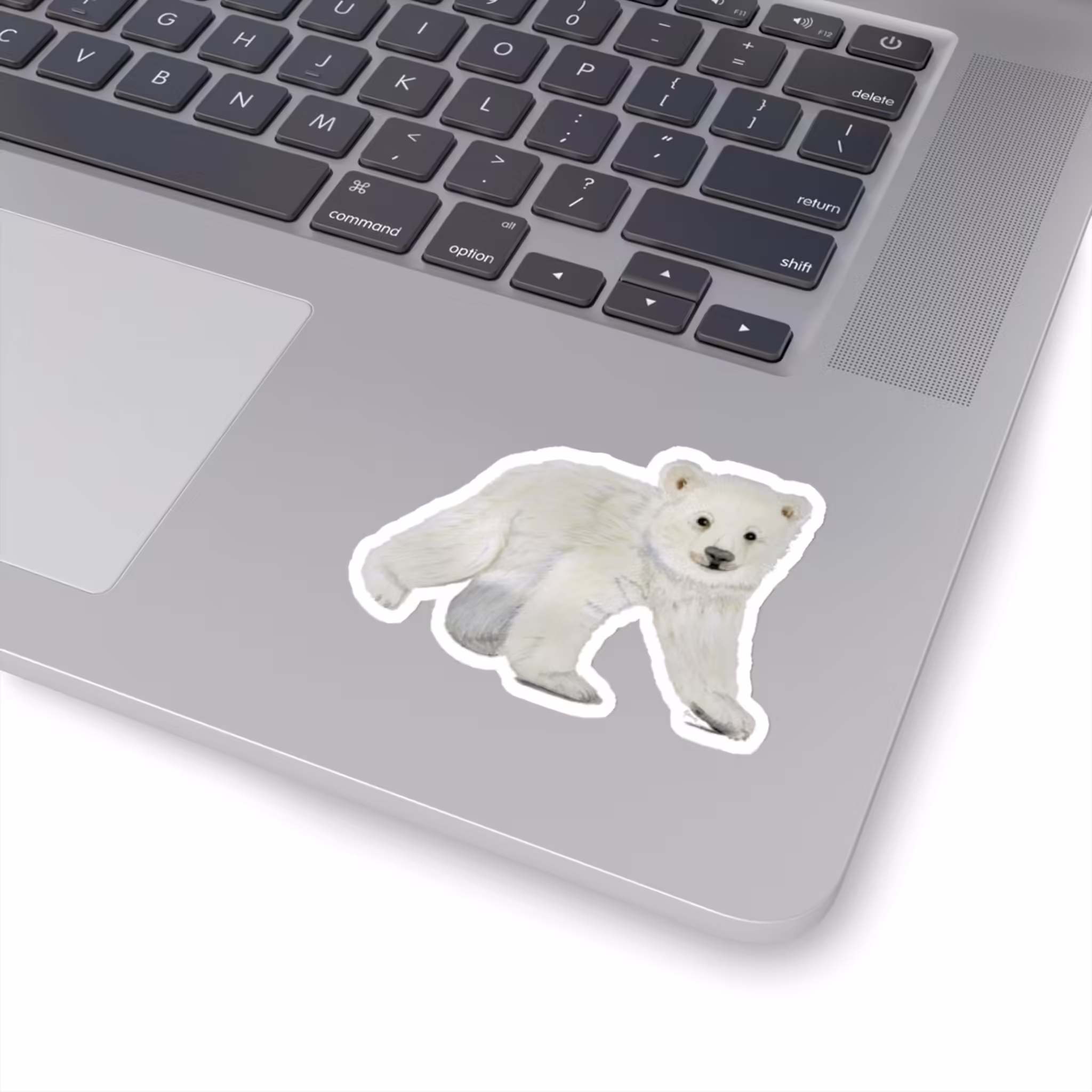 Winter Collection - Polar Bear Sticker 3x3 White