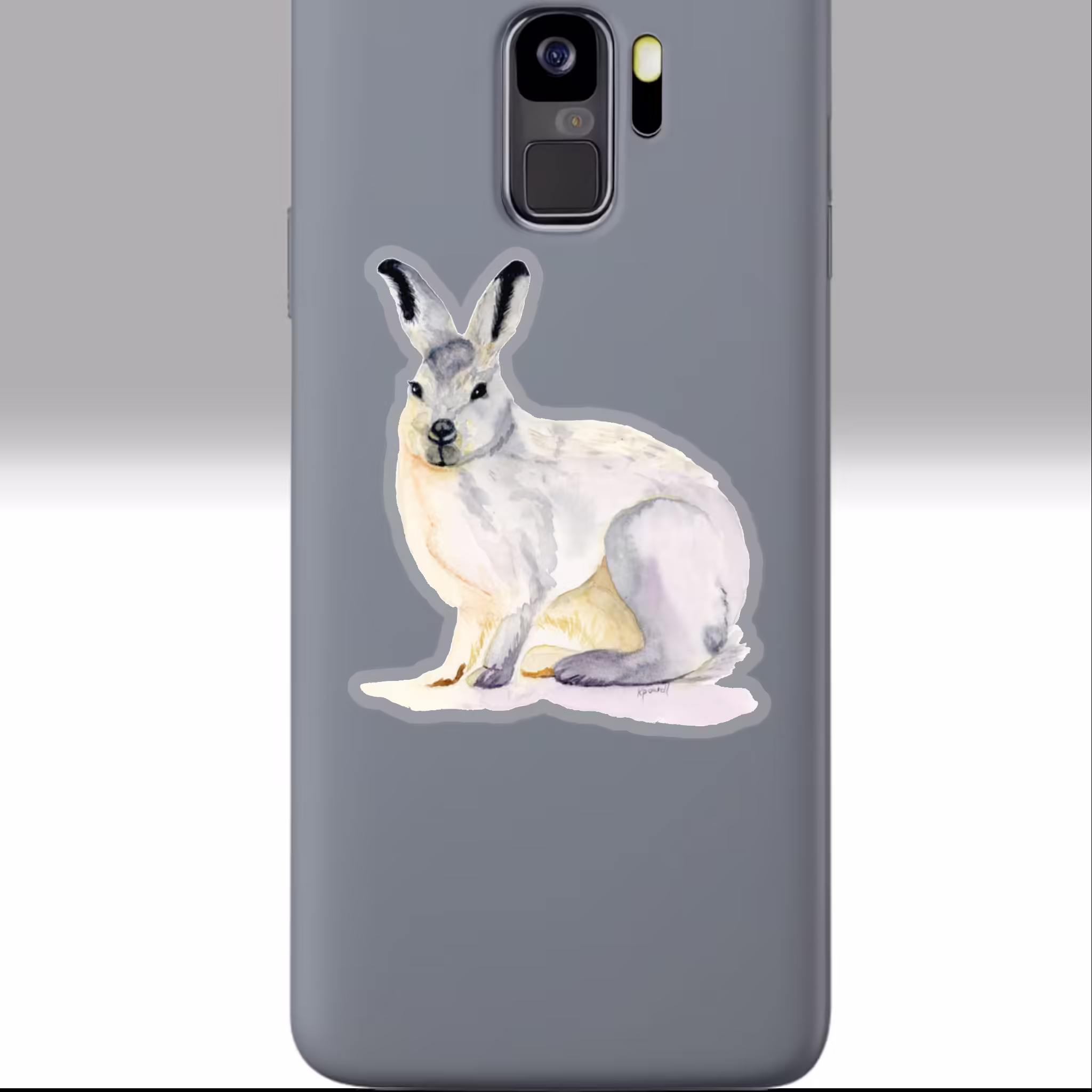 Winter Collection - Snowshoe Rabbit Sticker 3x3 Transparent on a Phone