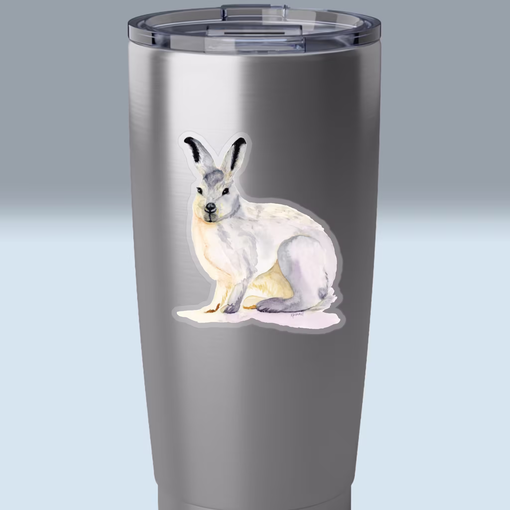 Winter Collection - Snowshoe Rabbit Sticker 3x3 Transparent on a Tumbler
