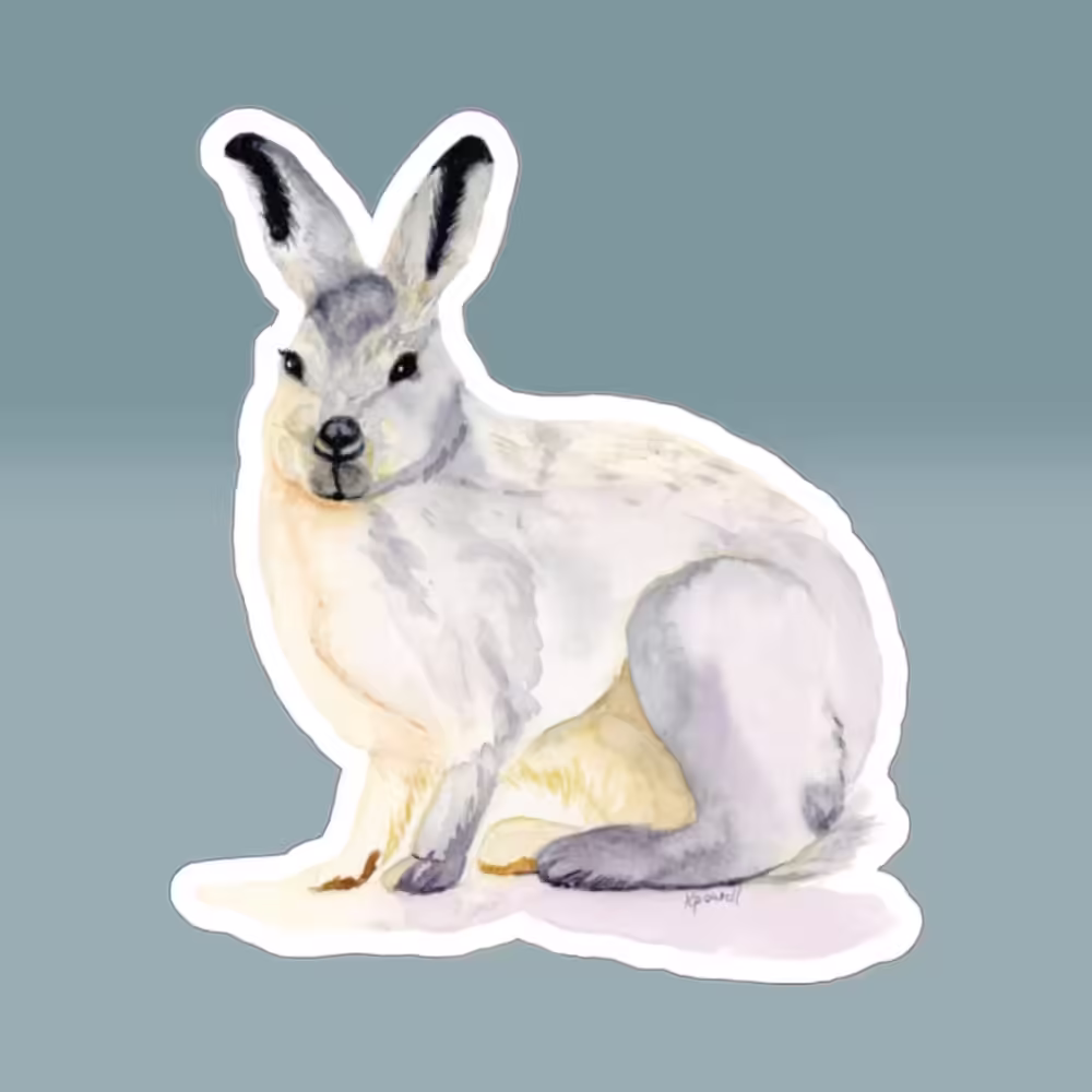 Winter Collection - Snowshoe Rabbit Sticker White