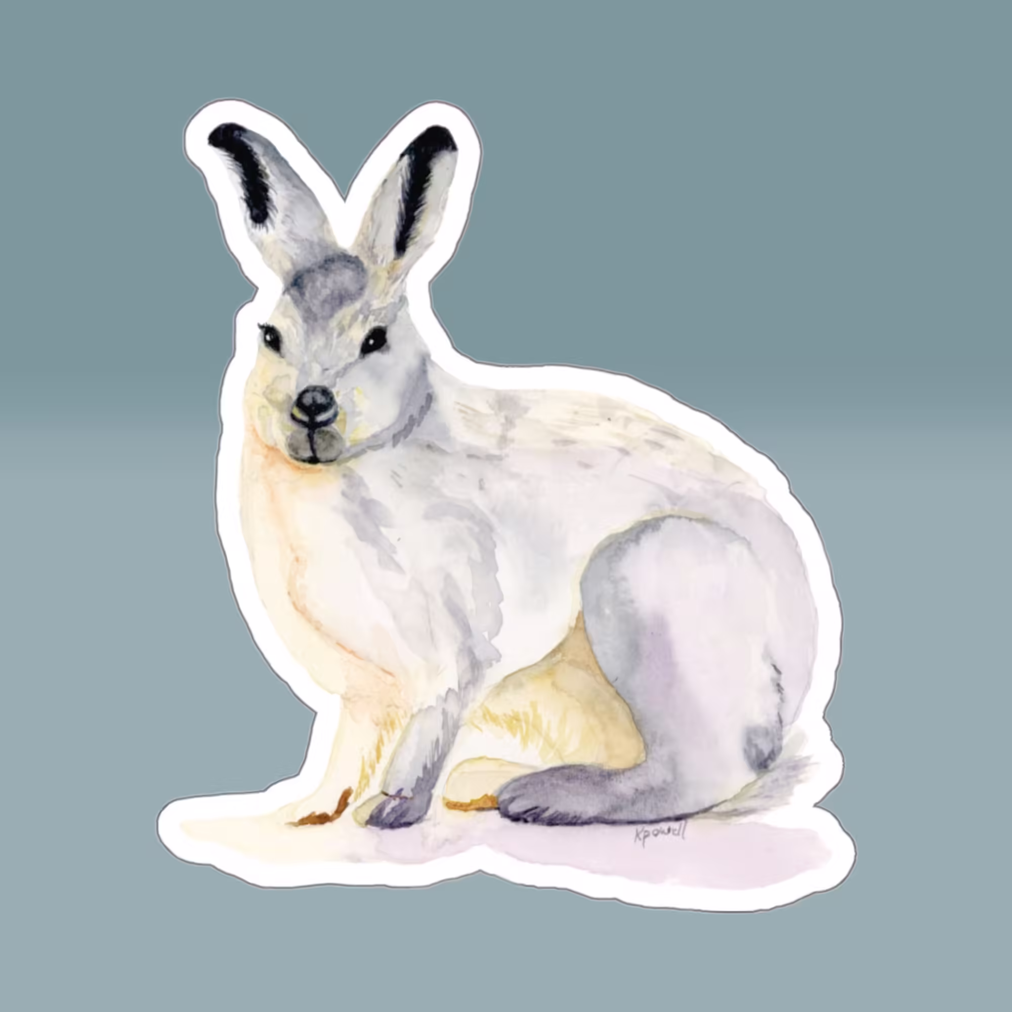 Winter Collection - Snowshoe Rabbit Sticker