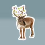 Winter Wonderland Reindeer Christmas Lights Sticker White