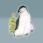 christmas penguin sticker watercolor joy 6x6 transparent Sticker Main