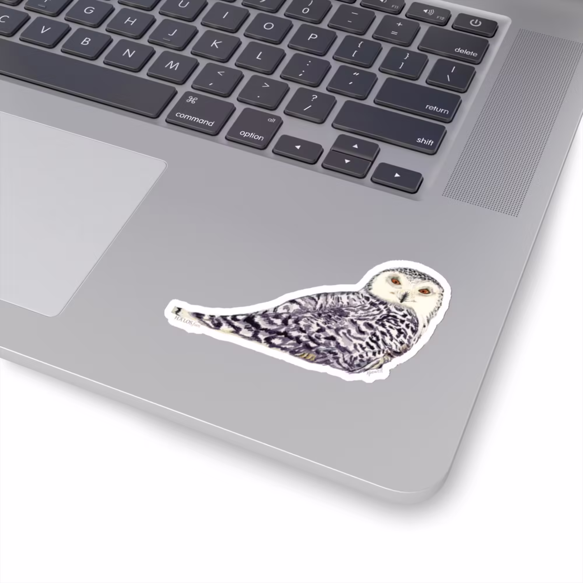 majestic-snow-owl-sticker-black-white-elegance-3x3-white